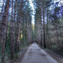 archivelocations_betsabata_img_48_d archivelocations_betsabata_img_48_d