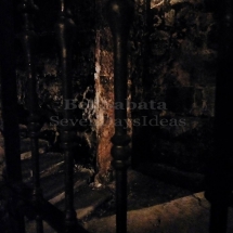 IMG_20191102_162102 IMG_20191102_162102