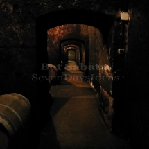 IMG_20191102_162846 IMG_20191102_162846