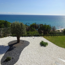 DSC03646 (2) DSC03646 (2)