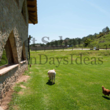 DSC_7181_1024x683 DSC_7181_1024x683