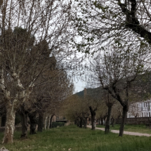 IMG20190415171052 IMG20190415171052