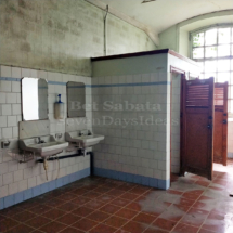 IMG_20191103_122917 IMG_20191103_122917