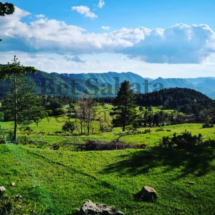 IMG_20200206_214827 IMG_20200206_214827