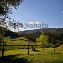 IMG_20200206_215029 IMG_20200206_215029