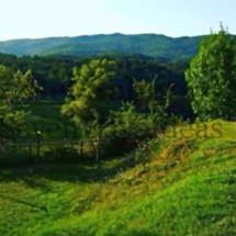 IMG_20200206_215048 IMG_20200206_215048