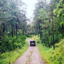 IMG_20200206_215152 IMG_20200206_215152