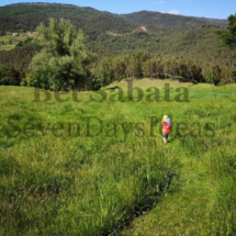 IMG_20200206_235155 IMG_20200206_235155