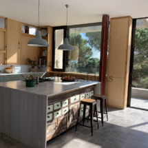 IMG_6437 (1) IMG_6437 (1)